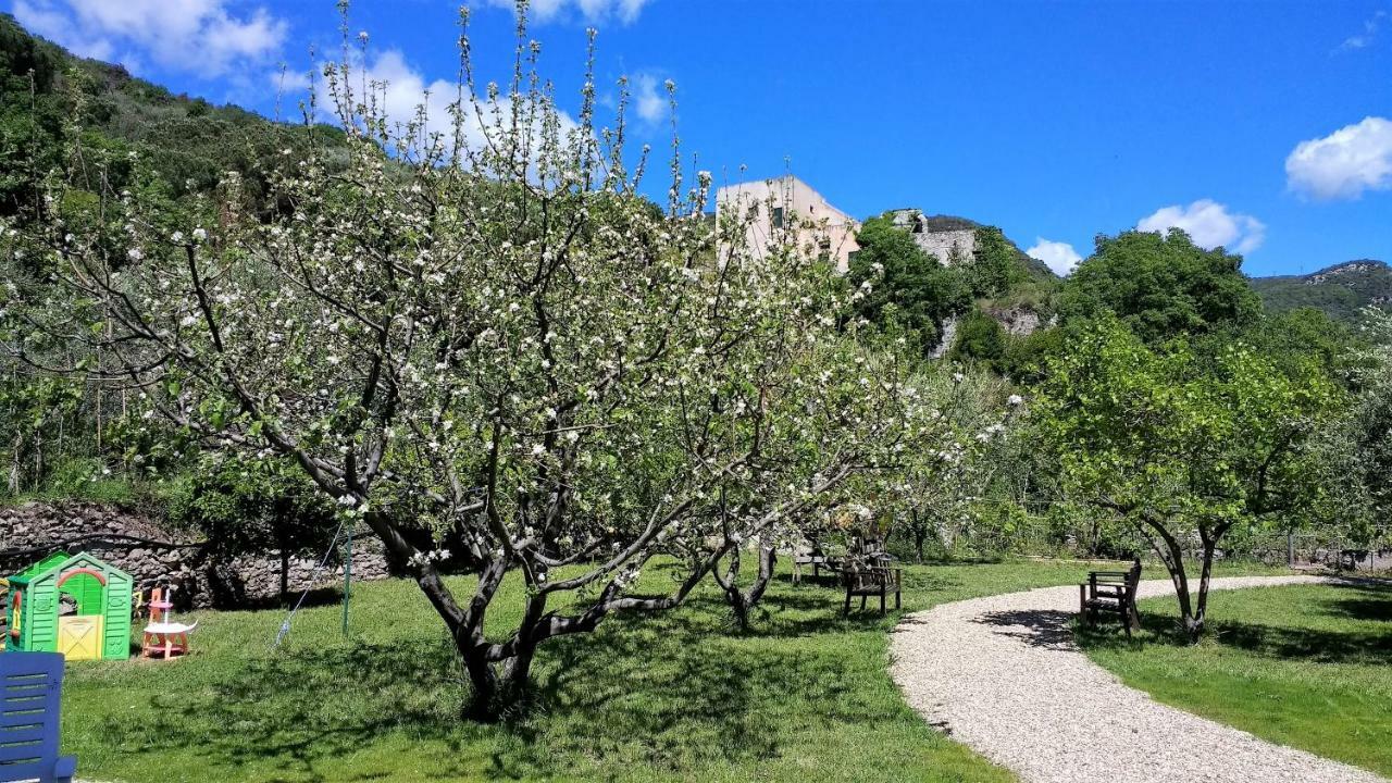 Casa Papaveri Rossi Apartment Finale Ligure Bagian luar foto